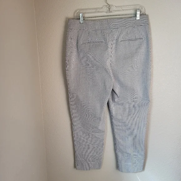 Ann Taylor Kate Blue/White Striped Cropped Leg Pants Women's Size 10 - Picture 2 of 7